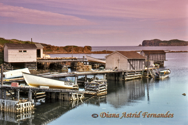 Canada-lobster-fishing-village-Newfoundland